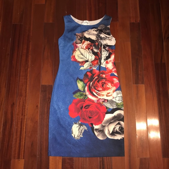 Joseph Ribkoff Dresses & Skirts - Joseph Ribkoff dress blue red roses floral sz 10